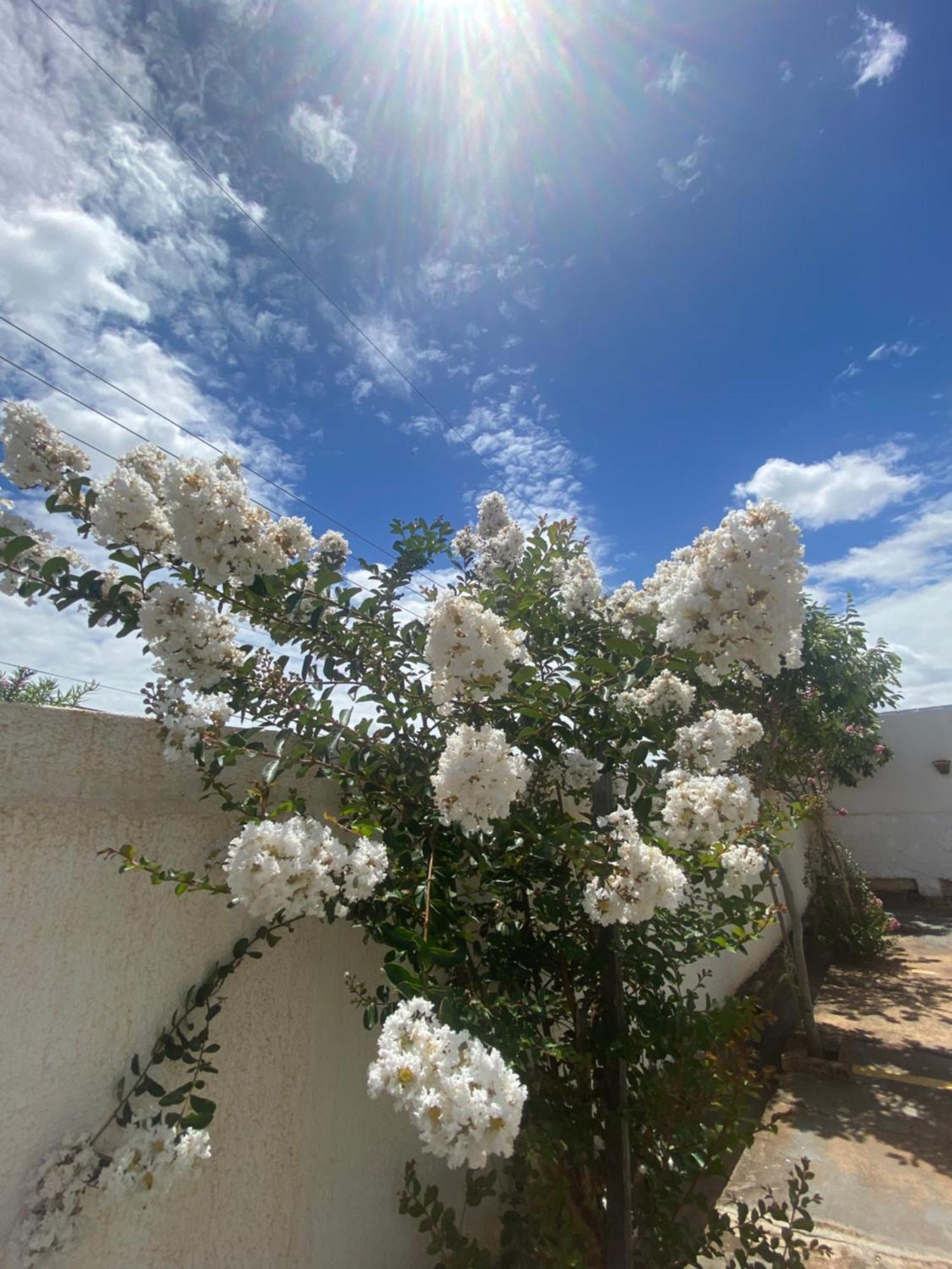 Queiroz Palace Hotel Siqueira Campos Bagian luar foto